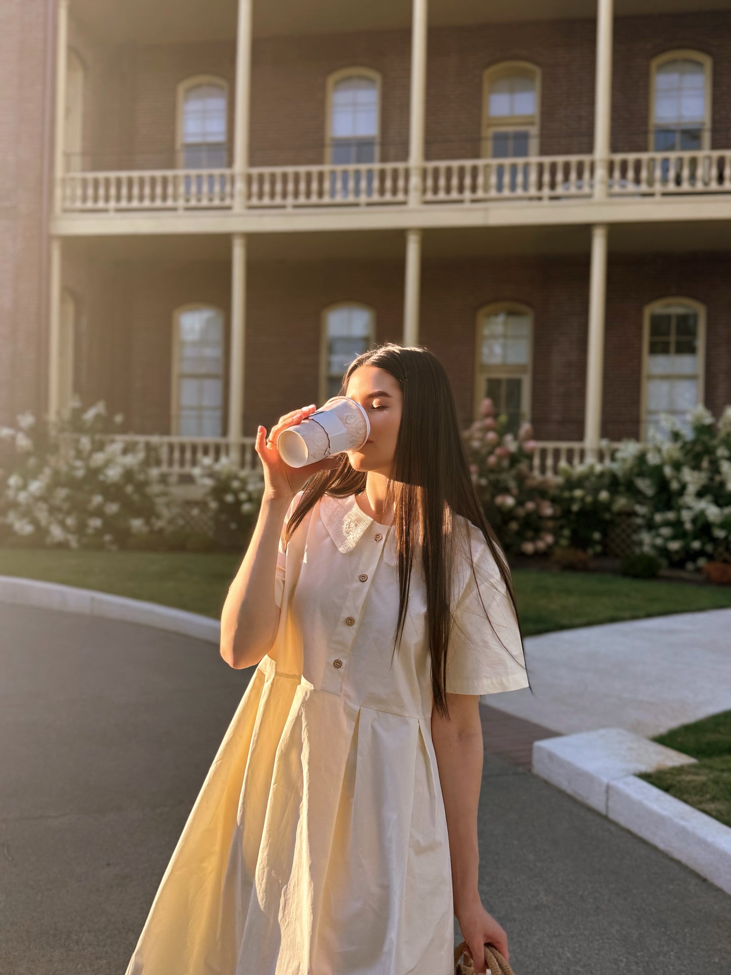 Lace Collar Cotton Dress