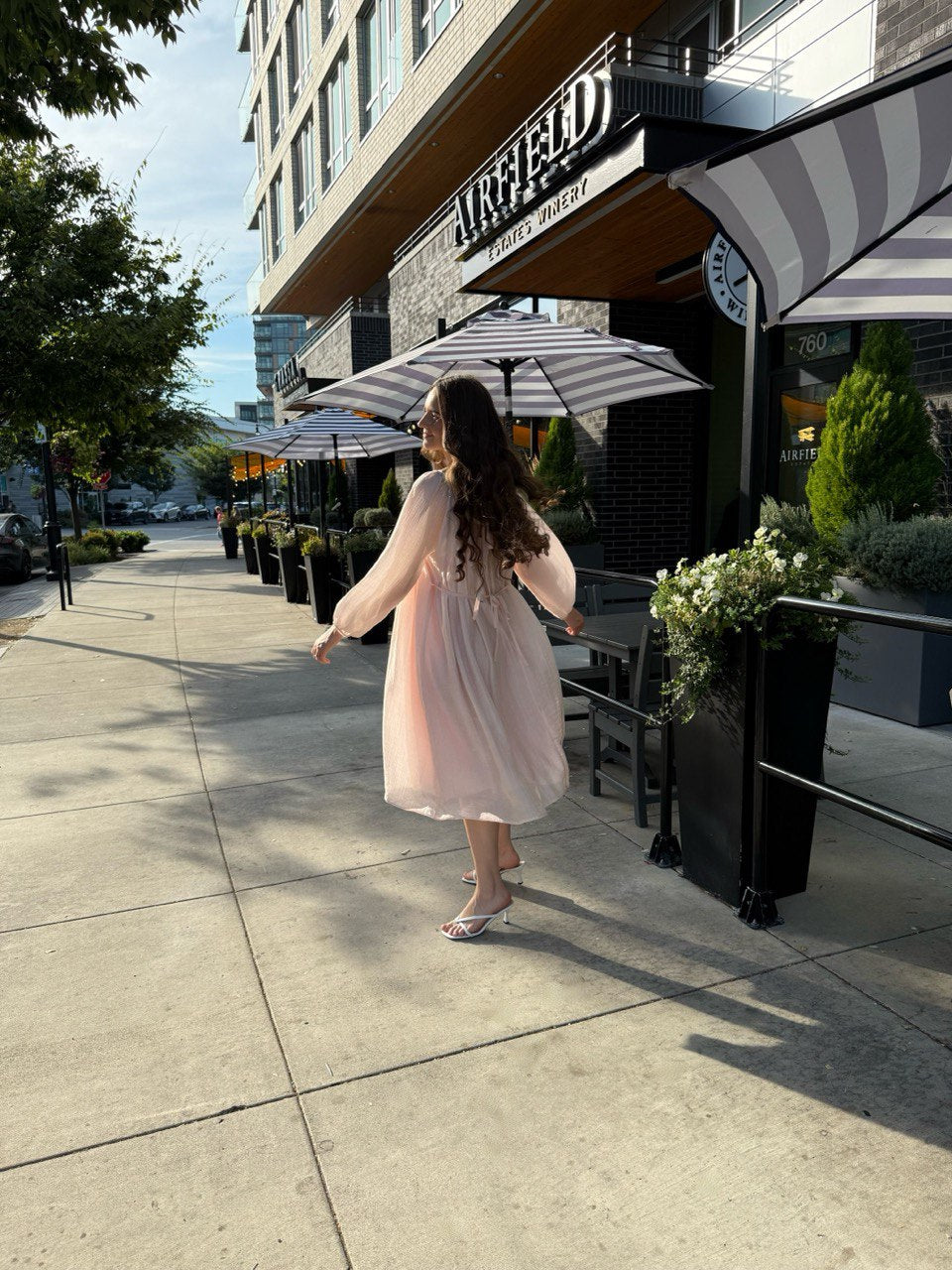 Sheer Pink Midi Dress