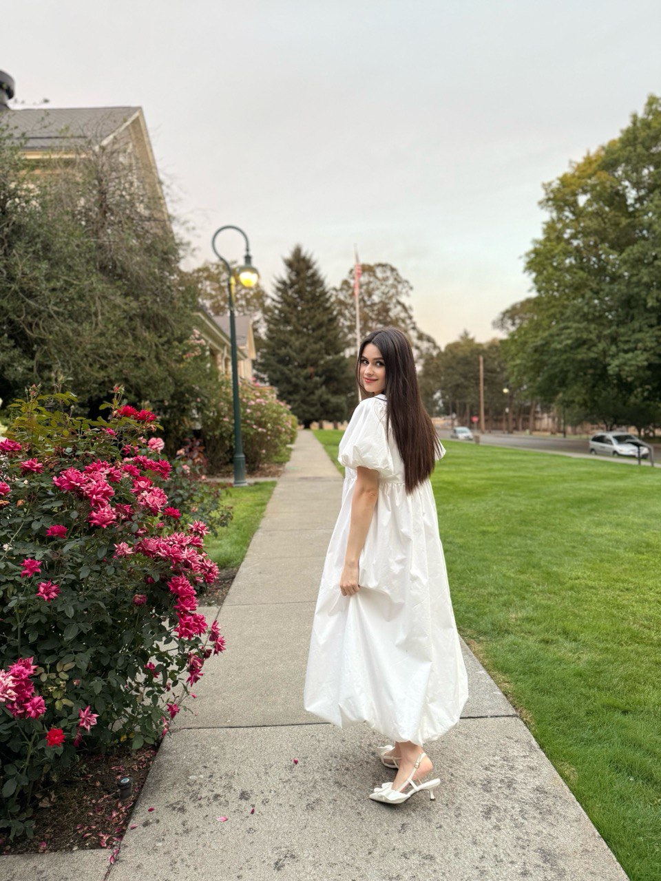 Elegant Cotton Puff Sleeve Dress