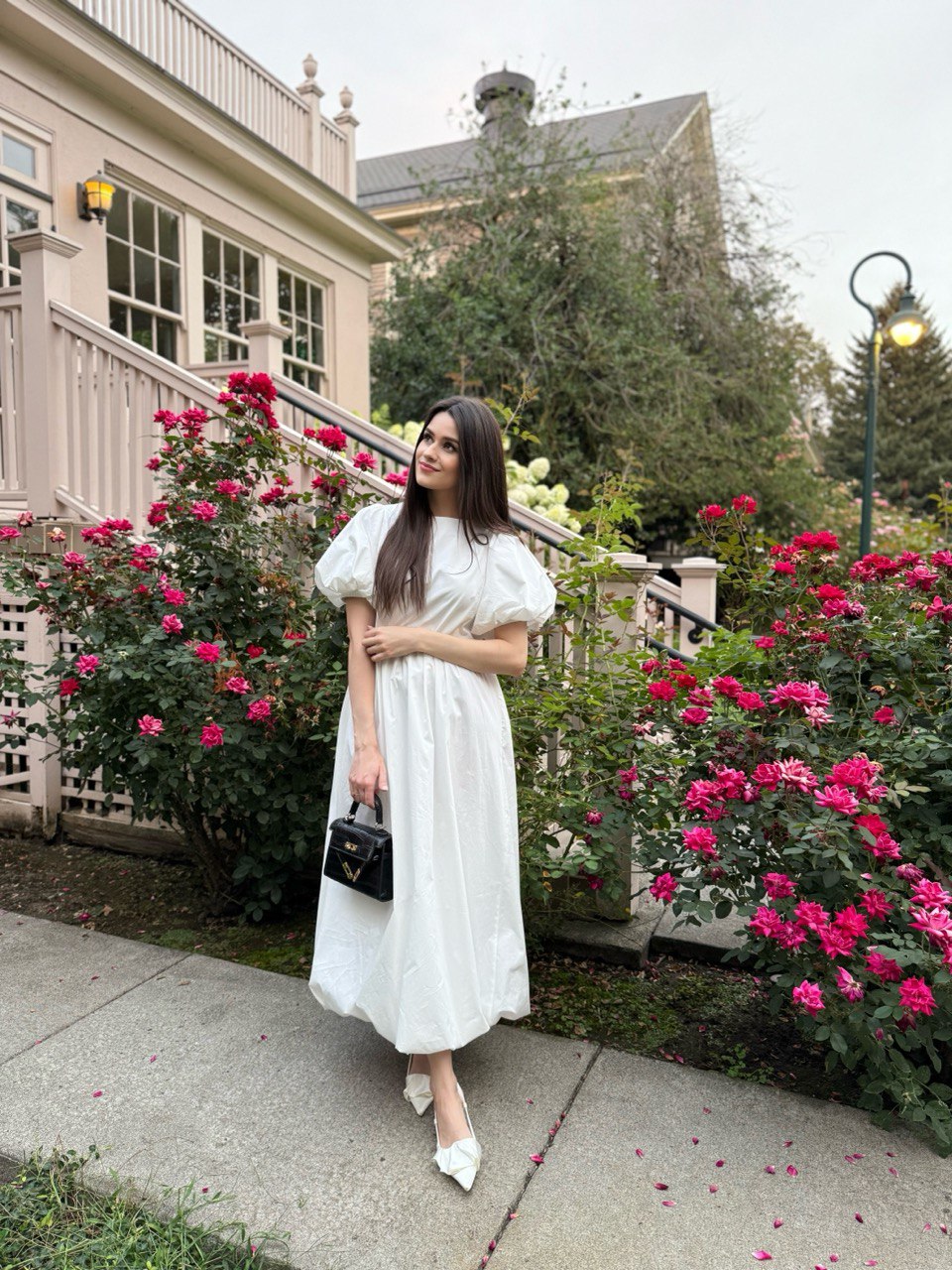 Elegant Cotton Puff Sleeve Dress